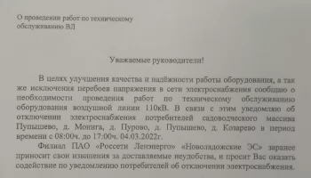 Отключение электроэнергии во всем Пупышево