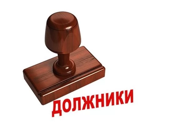 Долги по членским и целевым взносам Долги по членским и целевым взносам