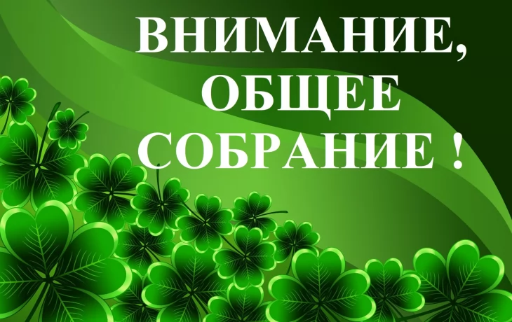 Общее собрание садоводов СНТ "Заря"